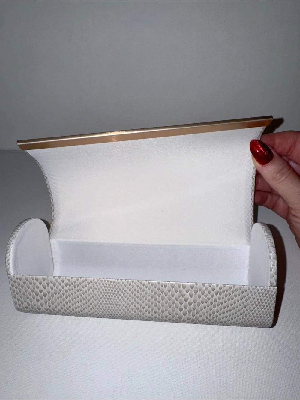 Jimmy Choo Faux Snakeskin Sunglasses Case & Dust Cloth Set